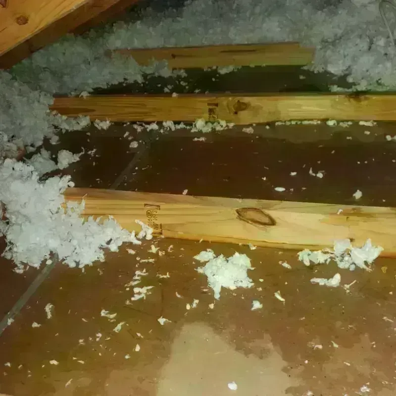 Attic Water Damage in Cedar County, NE